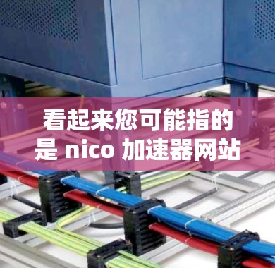 看起来您可能指的是 nico 加速器网站，这是一个非常受欢迎的网络加速器应用。nico 是一个免费且永久的网络加速器，适合普通用户加速各种网络流量，包括 HTTP、FTP、文件下载等
