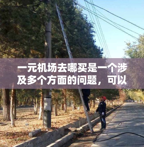 一元机场去哪买是一个涉及多个方面的问题，可以通过以下步骤进行分析和解决