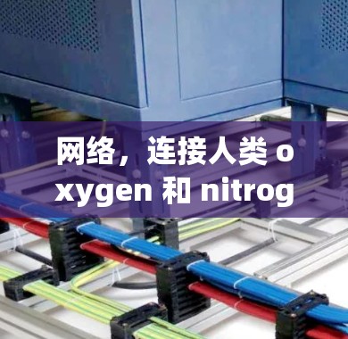 网络，连接人类 oxygen 和 nitrogen 的完美桥