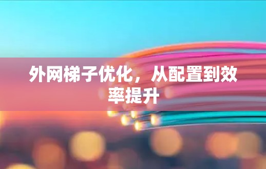 外网梯子优化，从配置到效率提升