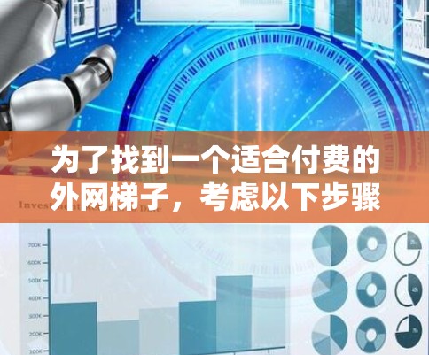 为了找到一个适合付费的外网梯子，考虑以下步骤和因素