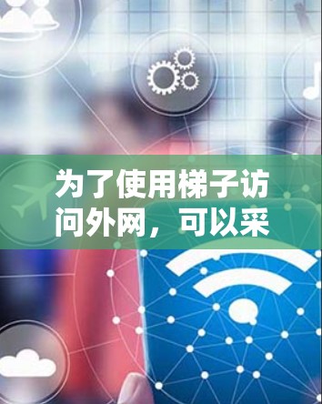 为了使用梯子访问外网，可以采用以下方法