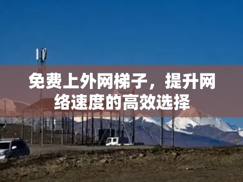 免费上外网梯子，提升网络速度的高效选择