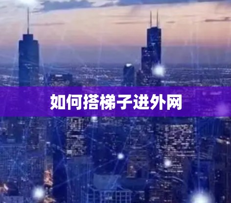 如何搭梯子进外网