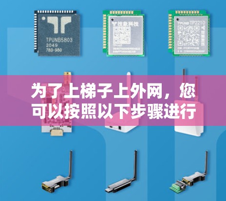 为了上梯子上外网，您可以按照以下步骤进行
