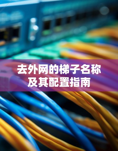 去外网的梯子名称及其配置指南
