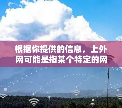 根据你提供的信息，上外网可能是指某个特定的网络，而挂梯子可能是技术术语或比喻。以下是一些可能的解释