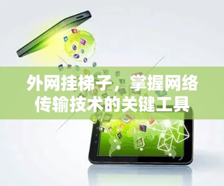 外网挂梯子，掌握网络传输技术的关键工具