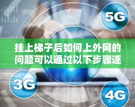 挂上梯子后如何上外网的问题可以通过以下步骤逐步解决