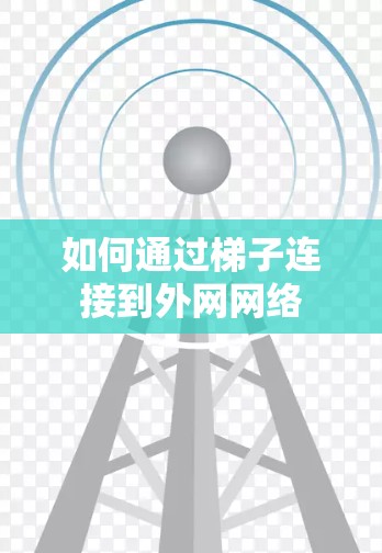 如何通过梯子连接到外网网络