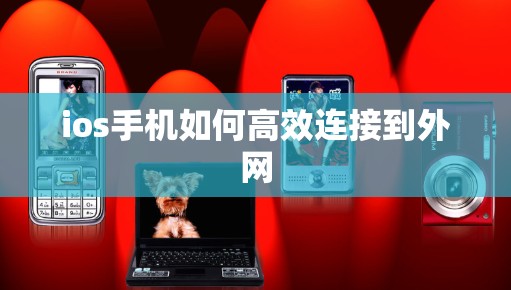 ios手机如何高效连接到外网