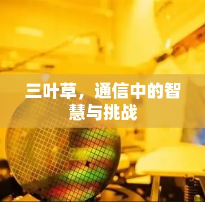 三叶草，通信中的智慧与挑战