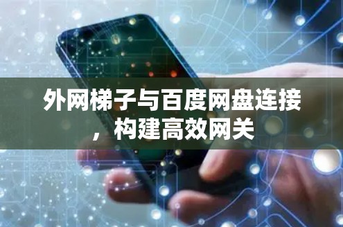 外网梯子与百度网盘连接，构建高效网关