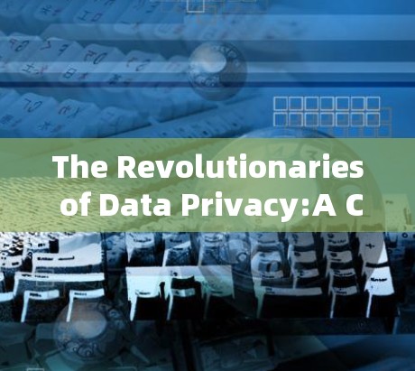 The Revolutionaries of Data Privacy:A Comprehensive Look at Reverse Torch Software