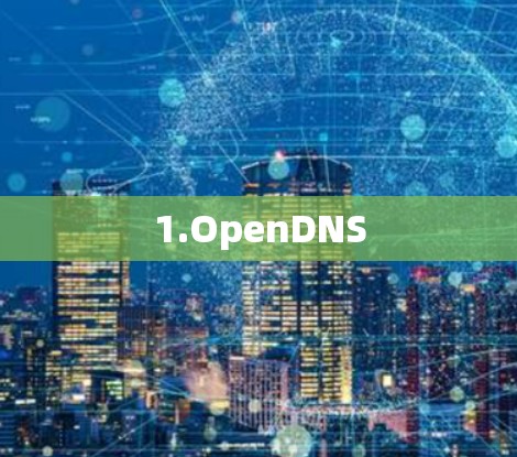 1.OpenDNS