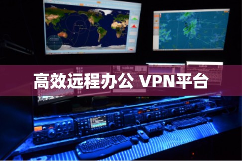高效远程办公 VPN平台