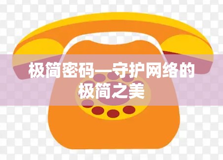 极简密码—守护网络的极简之美