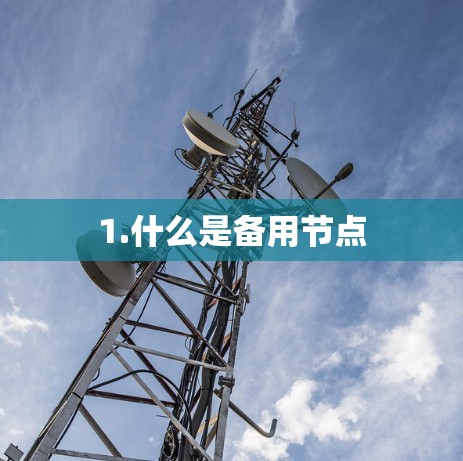 1.什么是备用节点