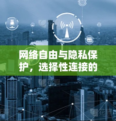 网络自由与隐私保护，选择性连接的网络选择