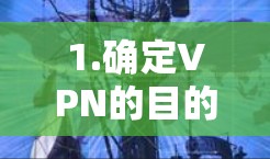 1.确定VPN的目的和需求