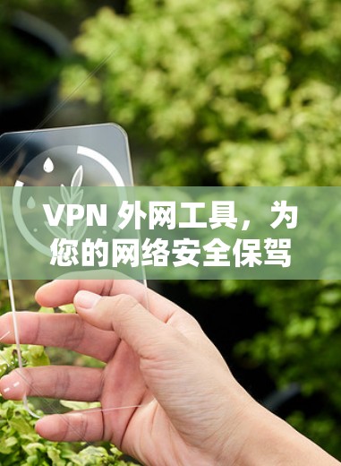 VPN 外网工具，为您的网络安全保驾护航