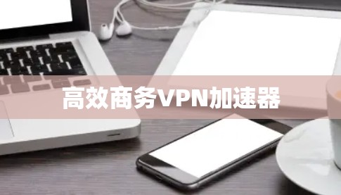 高效商务VPN加速器