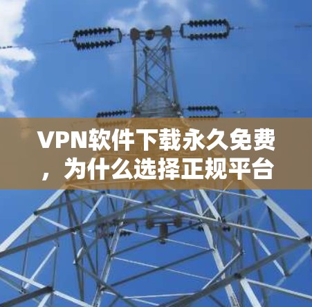 VPN软件下载永久免费，为什么选择正规平台