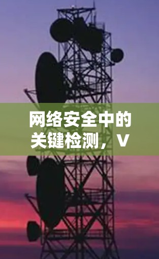 网络安全中的关键检测，VPN节点的防护与管理