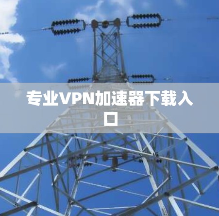 专业VPN加速器下载入口