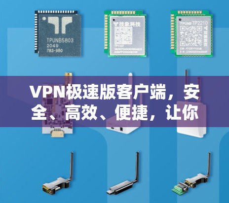 VPN极速版客户端，安全、高效、便捷，让你轻松享受VPN的乐趣！