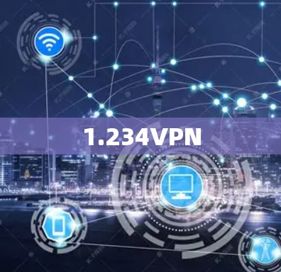 1.234VPN