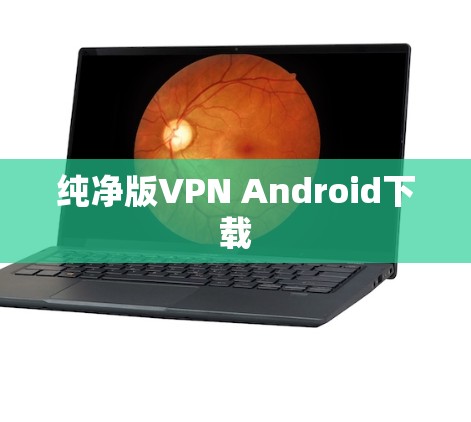 纯净版VPN Android下载