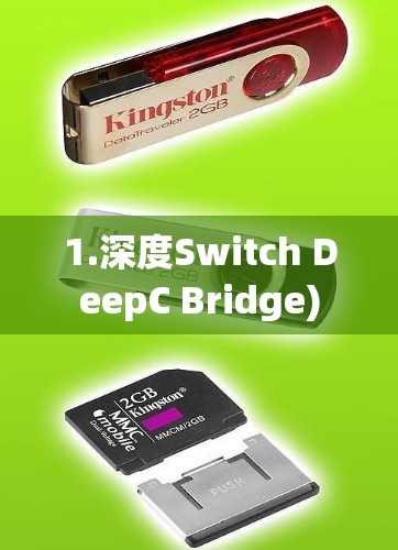 1.深度Switch DeepC Bridge)