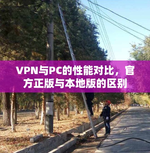 VPN与PC的性能对比，官方正版与本地版的区别