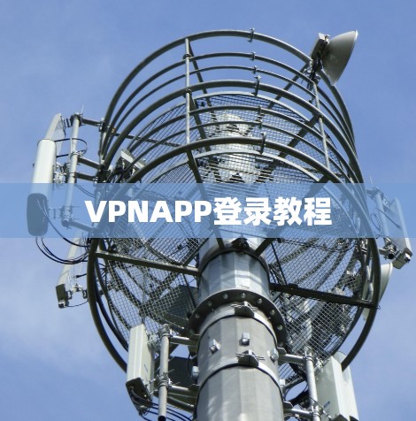 VPNAPP登录教程