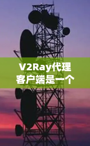 V2Ray代理客户端是一个强大的网络代理工具，主要用于代理虚拟服务器和游戏服务器。以下是一个全面的使用指南，帮助您高效使用V2Ray代理客户端