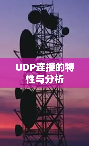 UDP连接的特性与分析