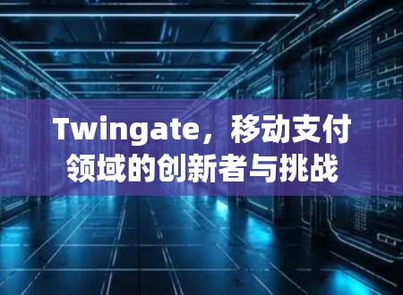 Twingate，移动支付领域的创新者与挑战
