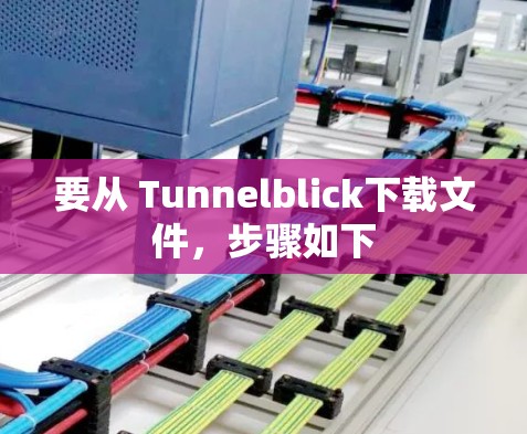 要从 Tunnelblick下载文件，步骤如下