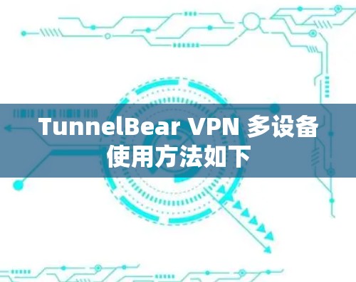 TunnelBear VPN 多设备使用方法如下