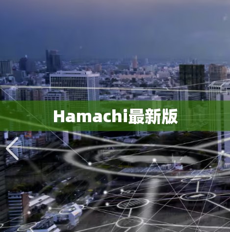 Hamachi最新版
