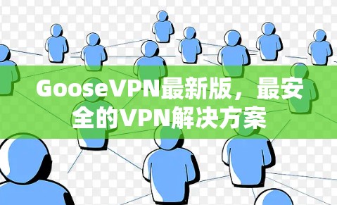 GooseVPN最新版，最安全的VPN解决方案