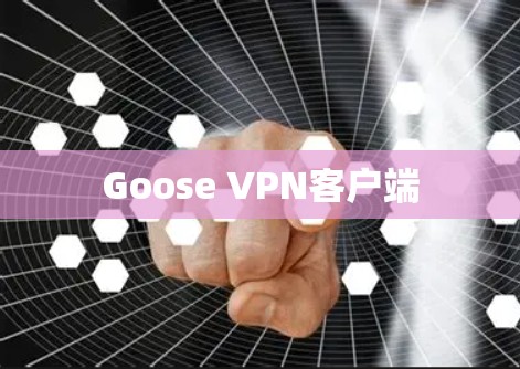 Goose VPN客户端