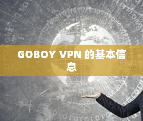 GOBOY VPN 的基本信息
