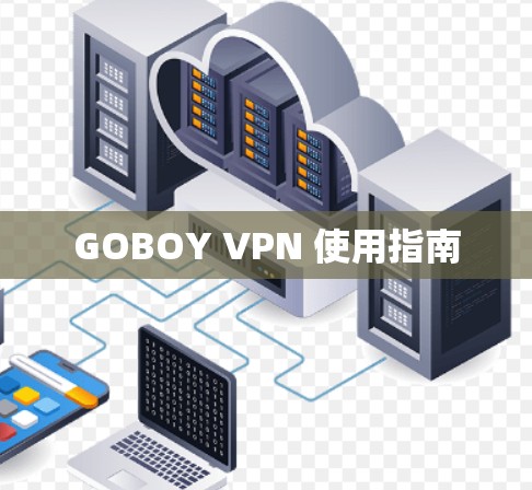 GOBOY VPN 使用指南