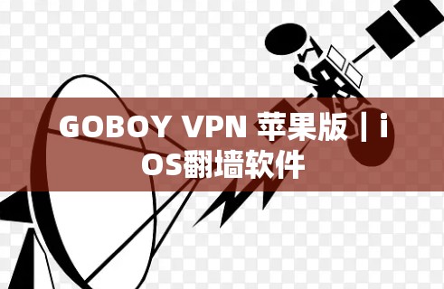 GOBOY VPN 苹果版｜iOS翻墙软件
