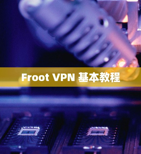 Froot VPN 基本教程